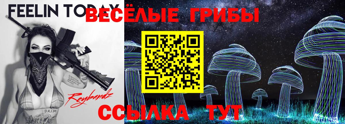 Псилоцибиновые грибы MAGIC MUSHROOMS  Галлюциногенные грибы Psilocybine cubensis  Вход с VPN  Беслан 